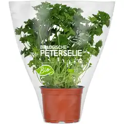 Albert Heijn AH Biologisch Peterselie pot aanbieding