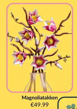 LEGO Magnoliatakken aanbieding