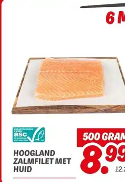 Dekamarkt HOOGLAND ZALMFILET MET HUID aanbieding