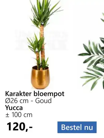 Tuincentrum Outlet Karakter bloempot Ø26 cm - Goud Yucca aanbieding