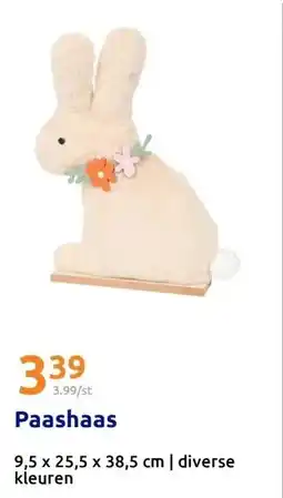 Action Paashaas aanbieding