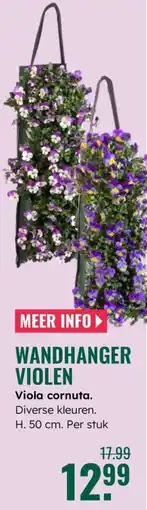 GroenRijk Viola cornuta aanbieding