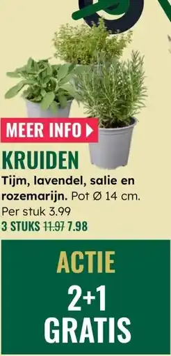 GroenRijk Tijm, lavendel, salie en rozemarijn aanbieding