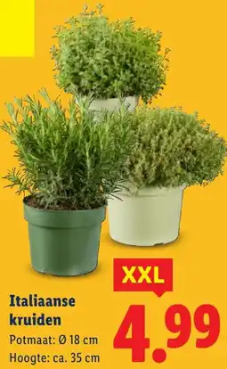 Lidl Italiaanse kruiden aanbieding
