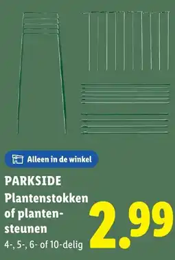 Lidl Plantenstokken of planten steunen aanbieding