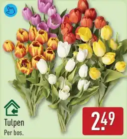 ALDI Tulpen aanbieding