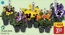 ALDI 10-pack violen aanbieding