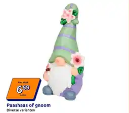 Action Paashaas of gnoom aanbieding