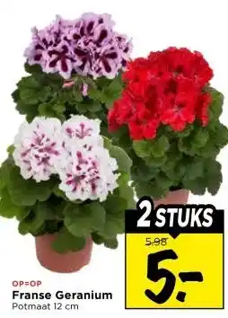 Vomar Voordeelmarkt Franse Geranium aanbieding
