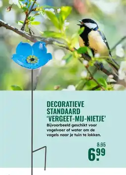 GroenRijk Decoratieve standaard vergeet mij nietje aanbieding