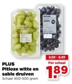PLUS PLUS Pitloze witte en sable druiven aanbieding