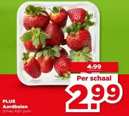 PLUS PLUS Aardbeien aanbieding