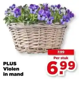 PLUS PLUS Violen in mand aanbieding
