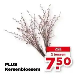 PLUS PLUS Kersenbloesem aanbieding