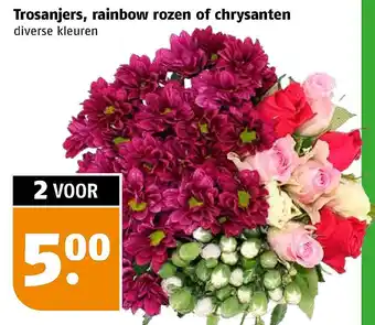 Poiesz Trosaniers, rainbow rozen of chrysanten aanbieding