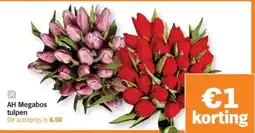 Albert Heijn AH Megabos tulpen aanbieding