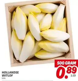 Dekamarkt Hollandse witlof aanbieding