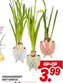 Dekamarkt Arrangement met narcis aanbieding