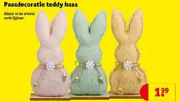 Kruidvat Paasdecoratie teddy haas aanbieding