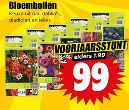 Dirk Bloembollen aanbieding