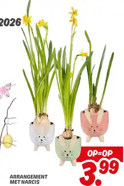 Dekamarkt Arrangement met narcis aanbieding