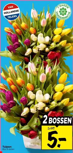 Vomar Voordeelmarkt Tulpen aanbieding