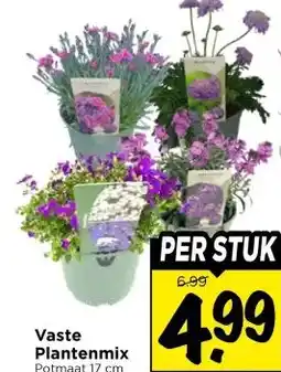 Vomar Voordeelmarkt Vaste Plantenmix aanbieding