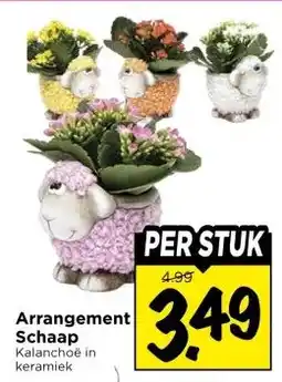 Vomar Voordeelmarkt Arrangement Schaap aanbieding