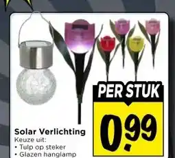 Vomar Voordeelmarkt Solar Verlichting aanbieding
