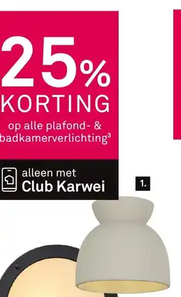 Karwei Karwei plafondlamp nela aanbieding