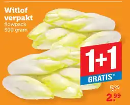 Dagwinkel Witlof verpakt aanbieding