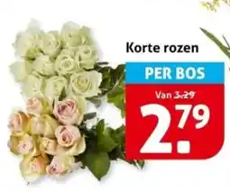 Hoogvliet Korte rozen aanbieding