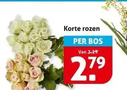 Hoogvliet Korte rozen aanbieding