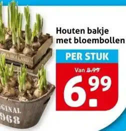 Hoogvliet Houten bakje met bloembollen aanbieding