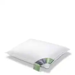 Wehkamp Vandyck donzen hoofdkussen medium (Pure Nature) (60x70 cm) aanbieding