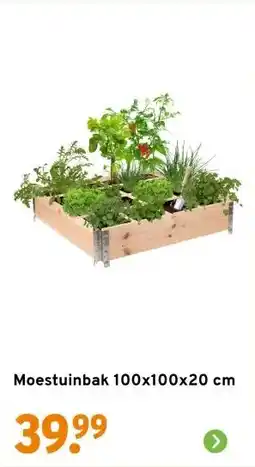 GAMMA Moestuinbak 100x100x20 cm aanbieding