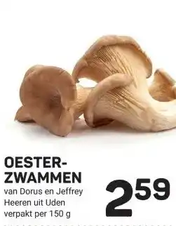 Ekoplaza OESTER- ZWAMMEN aanbieding
