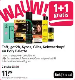Etos Taft, got2b, Syoss, Gliss, Schwarzkopf en Poly Palette aanbieding