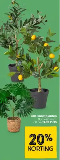 Xenos Alle kunstplanten aanbieding