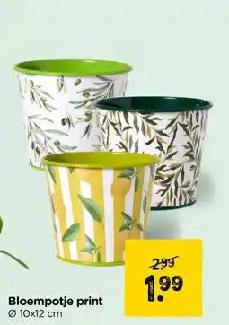Xenos Bloempotje print aanbieding