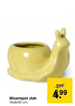 Xenos Bloempot slak aanbieding