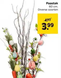 Xenos Paastak aanbieding