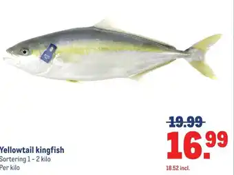 Makro Yellowtail kingfish aanbieding