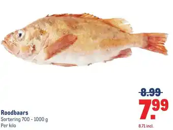 Makro Roodbaars aanbieding