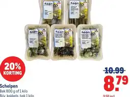 Makro Schelpen aanbieding