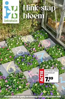 Intratuin Hink-stap- bloem aanbieding