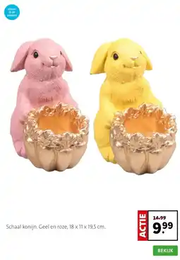 Intratuin Schaal konijn. Geel en roze, 18 x 11 x 19,5 cm. aanbieding