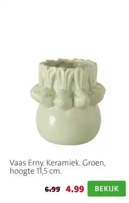 Intratuin Vaas Erny. Keramiek. Groen, hoogte 11,5 cm. aanbieding