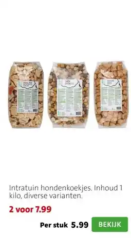 Intratuin Intratuin hondenkoekjes. Inhoud 1 kilo, diverse varianten. aanbieding