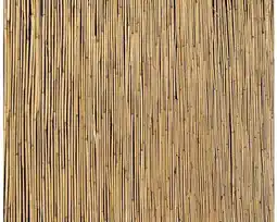 Hornbach Rietenmat op rol, 6 m x 180 cm aanbieding